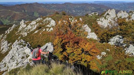 RUTA al PICO FORMOSO (Fermosu) desde PELÚGANO, ALLER Bajando a zona boscosa bajo el Pico Formoso
