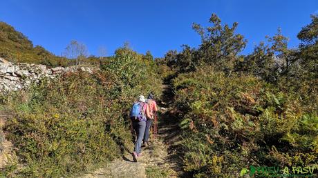 Sendero entre fincas hacia el Pico Formoso