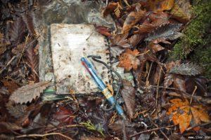 Aokigahara, el siniestro bosque del suicidio