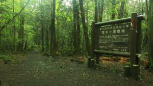 Aokigahara, el siniestro bosque del suicidio