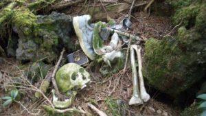 Aokigahara, el siniestro bosque del suicidio