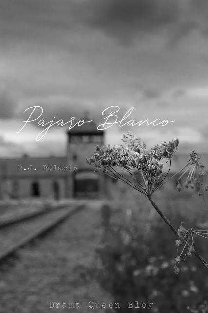 Foto-Reseña | Pájaro Blanco - R.J.Palacio