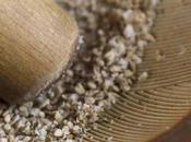 Gomasio. cuáles propiedades este condimento