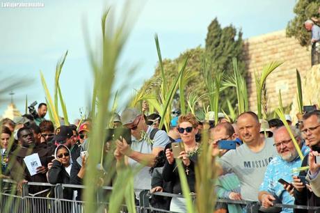 Semana Santa en Jerusalén: siguiendo las últimas horas de vida de Jesús (1ª parte)