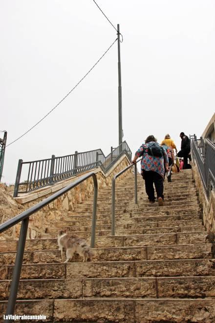 Semana Santa en Jerusalén: siguiendo las últimas horas de vida de Jesús (1ª parte)