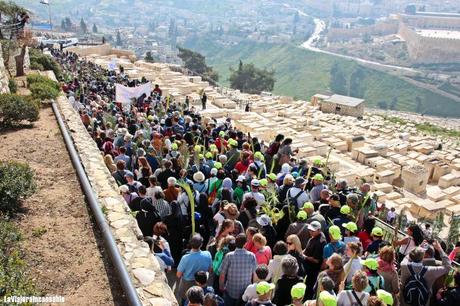 Semana Santa en Jerusalén: siguiendo las últimas horas de vida de Jesús (1ª parte)