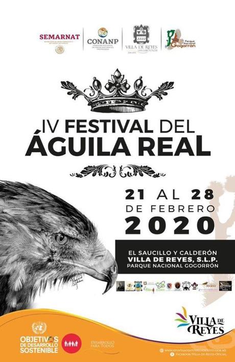 Invitan al «IV Festival del Águila Real» en Villa de Reyes