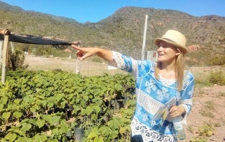 677911494 Los peligros del “milagroso” árbol que promueve Nadina Reynoso y que está prohibido en muchos países