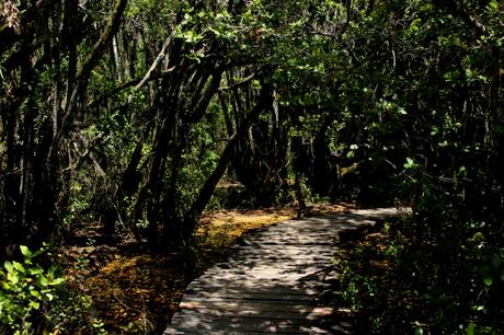 De Bariloche a El Bolsón