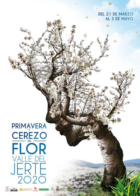 Cartel oficial Cartel oficial