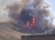 Junín Andes: voraz incendio afecta bosque Corfone