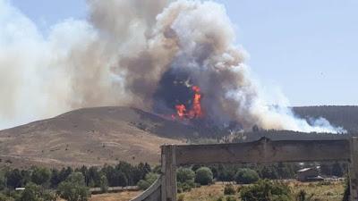 Junín de los Andes: voraz incendio afecta un bosque de Corfone
