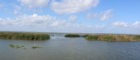 Lago Apopka