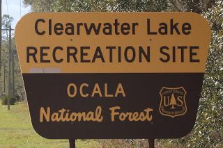 En el Ocala National Forest