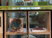 Séptima edición «Arco Fun» feria arte artistas años reconocida ARCO