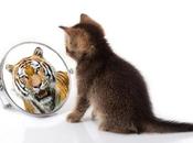 fuerza interior: ¿Cómo desarrollarla?