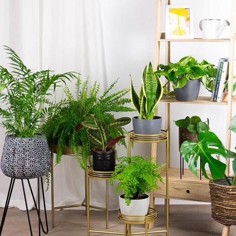 LA RED Y EL ENVIO DE FLORES Y REGALOS A DOMICILIO