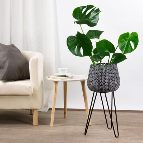 LA RED Y EL ENVIO DE FLORES Y REGALOS A DOMICILIO