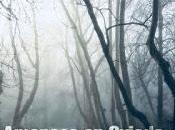 comienza Compañero Amanecer"