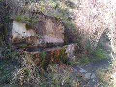 Del camino de la Hoz. …