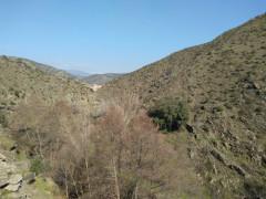 Del camino de la Hoz. …