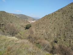 Del camino de la Hoz. …