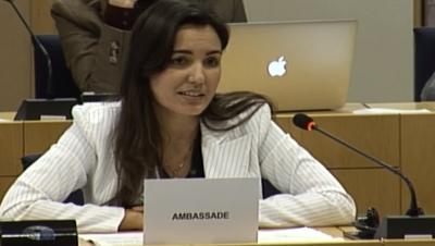 Tras su aclaración al Parlamento Europeo sobre polémicos asuntos, la diplomática cubana Heidy Villuendas devino blanco de una campaña en redes sociales. 