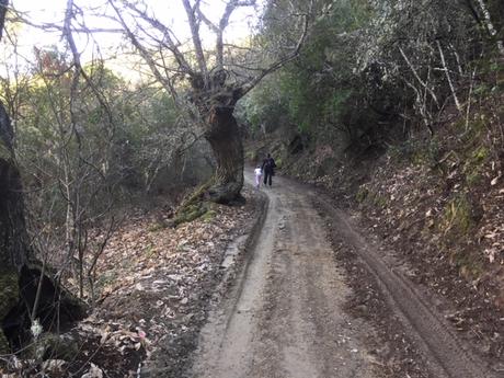 Un paseo de Viladepalos a Peón