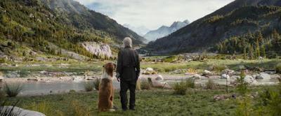 LLAMADA DE LO SALVAJE, LA (The Call of the Wild) (USA, 2020) Aventuras, Animación LLAMADA DE LO SALVAJE, LA (The Call of the Wild) (USA, 2020) Aventuras, Animación