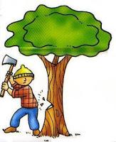 COMO LLEGAR A LA FORMA CÍCLICA DE LAS ALDOSAS Y CETOSAS COMO LLEGAR A LA FORMA CÍCLICA DE LAS ALDOSAS Y CETOSAS