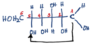 COMO LLEGAR A LA FORMA CÍCLICA DE LAS ALDOSAS Y CETOSAS