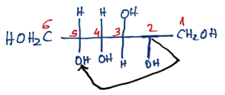 COMO LLEGAR A LA FORMA CÍCLICA DE LAS ALDOSAS Y CETOSAS