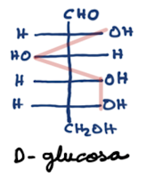COMO LLEGAR A LA FORMA CÍCLICA DE LAS ALDOSAS Y CETOSAS
