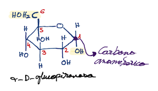COMO LLEGAR A LA FORMA CÍCLICA DE LAS ALDOSAS Y CETOSAS