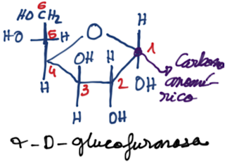 COMO LLEGAR A LA FORMA CÍCLICA DE LAS ALDOSAS Y CETOSAS