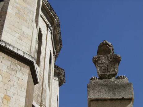 El león de la Catedral