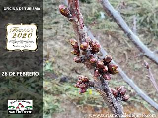 Turismo Valle del Jerte comienza a informar sobre las previsiones de la floración 2020