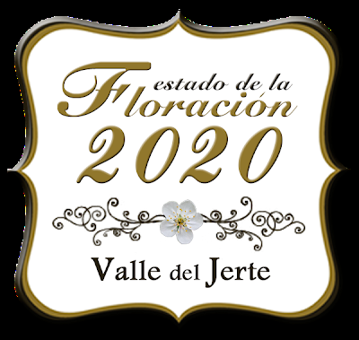 Turismo Valle del Jerte comienza a informar sobre las previsiones de la floración 2020
