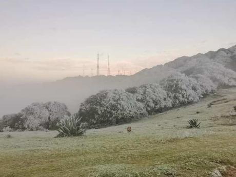 Galería: Sierra de Álvarez amanece bajo hielo por frente frío