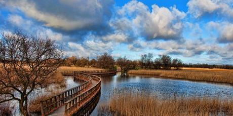 Escapada a las Tablas de Daimiel, Ciudad Real Resultado de imagen de tablas de daimiel