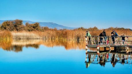 Escapada a las Tablas de Daimiel, Ciudad Real Escapada a las Tablas de Daimiel, Ciudad Real