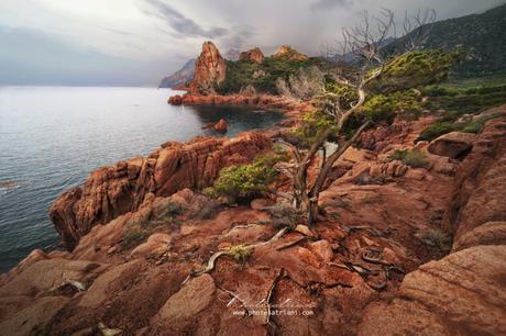 IlVenerdí di Photosatriani N. 251