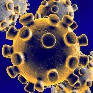 El problema del coronavirus