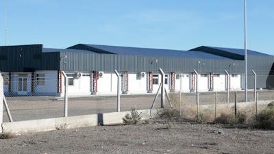 Llegan las truchas danesas a Neuquén y hay expectativa por una reunión clave