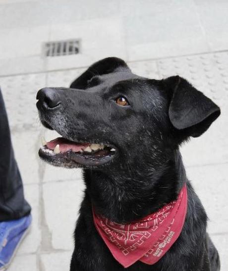 Los Héroes De Un Nuevo Mundo