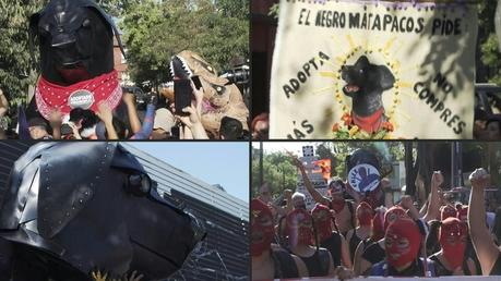 Los Héroes De Un Nuevo Mundo