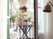 Plantas llega Primavera.