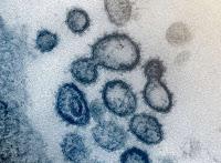 El Coronavirus Covid19 representa un gran reto para la Humanidad