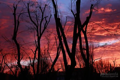 Amanecer de febrero - Fotografía