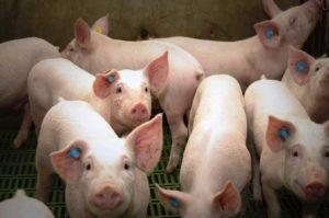 9 datos interesantes sobre China, No es solo Coronavirus o Covid-2019